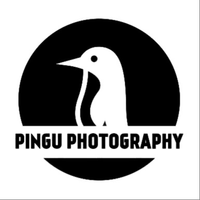 Don_Pingu