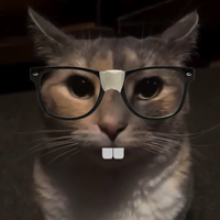 WolfieXD