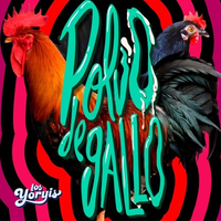 polvo de gallo