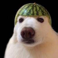 Nazakk