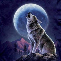 Ciacinawolf