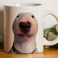 jimmyjohnsdog