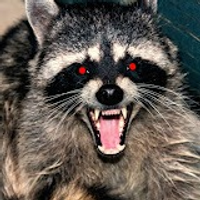 RabidRacoon