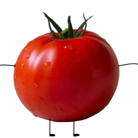 TomateNashe