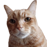 KaTZe SSJ