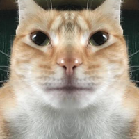 Cats Own