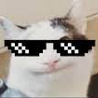 CoolCatt