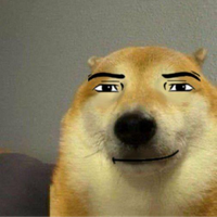Ulopy