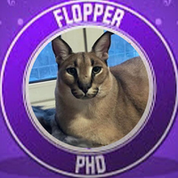 PhD_Floppa3