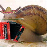 Tidus_Snail