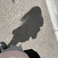 z o b