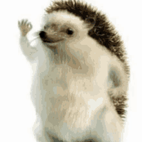 AyyYeti