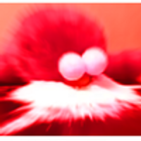 LilCoke
