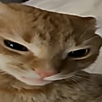 Hypetzi