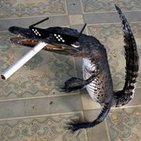 drain alpha