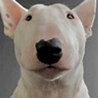 Walterman