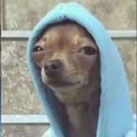 ElCHUEKO