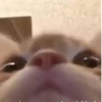 ItzJummy