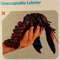Potato_Consumer