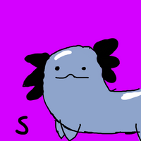 Comfycandle