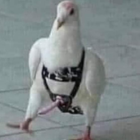 ChaosWeaverGR