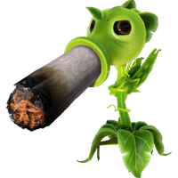 frankut2