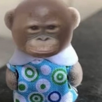 nozmauz