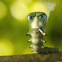 Perlasexo
