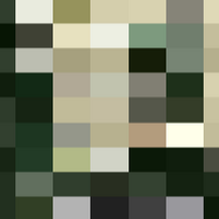Dualdongus