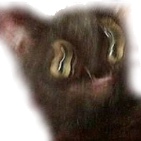 Arokishtaxe