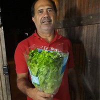 Grog Silva