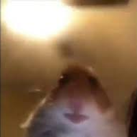jjenk