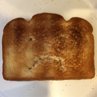 YeastWithLeast