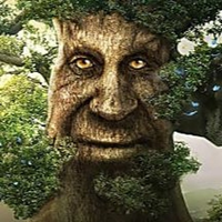 VenenoSpriggan