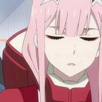 ZeroTwoIsMyWife