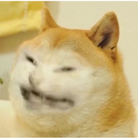 SadgeNastyKittie