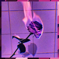 issa678