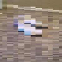 Jesxtr