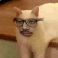 davidiir