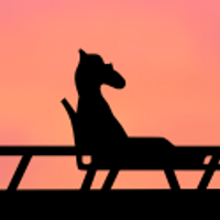 ParadiseMC