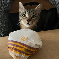 Furosha