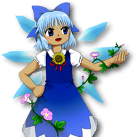 CirnoPollos