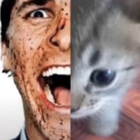 bertbebop