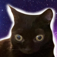 space cat