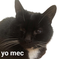 JFF_