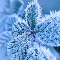 Frosty_Feet246