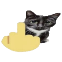 FPSvoltage