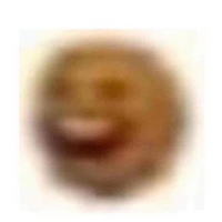 Samicom