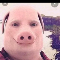 MrFirePotato