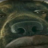 RuedinesGOD